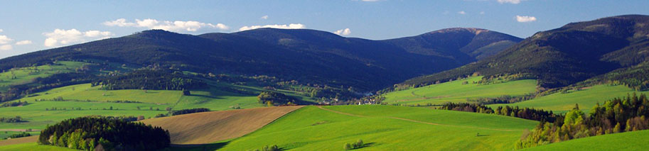 paticka_foto.jpg